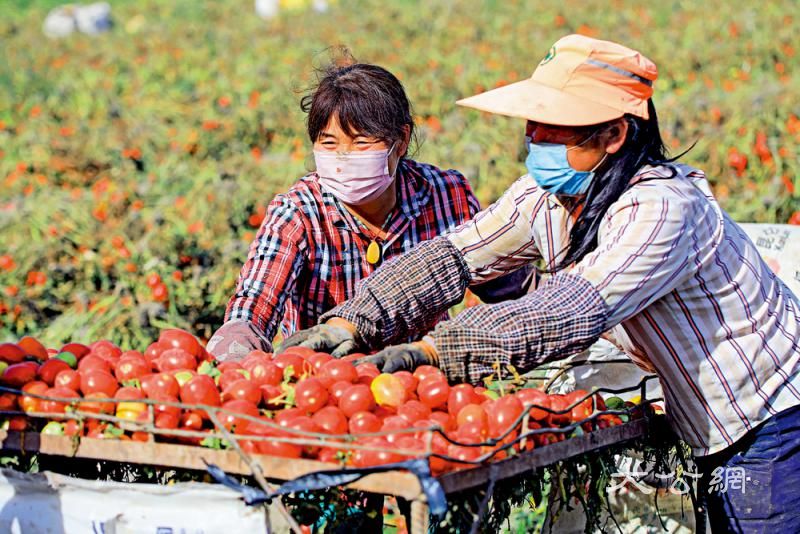 双循环关键在於改革开放