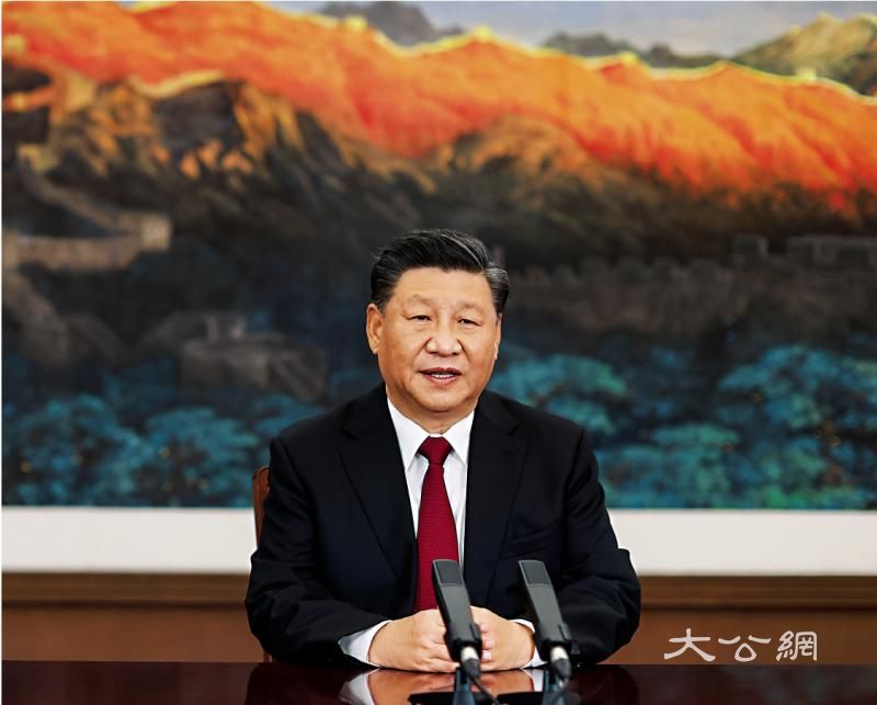 习近平:双循环为世界创造更多需求