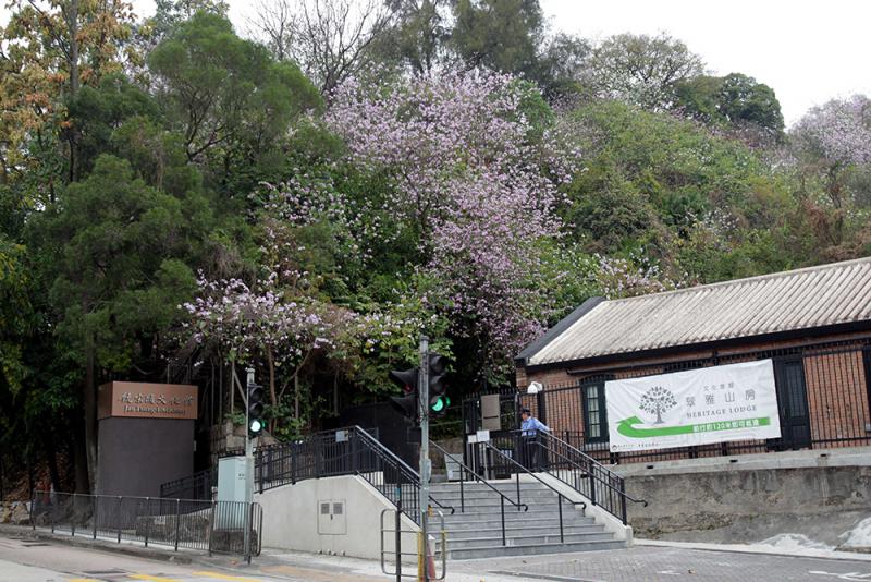 图:饶宗颐文化馆位於香港九龙荔枝角青山道800号,前身为荔枝角医院