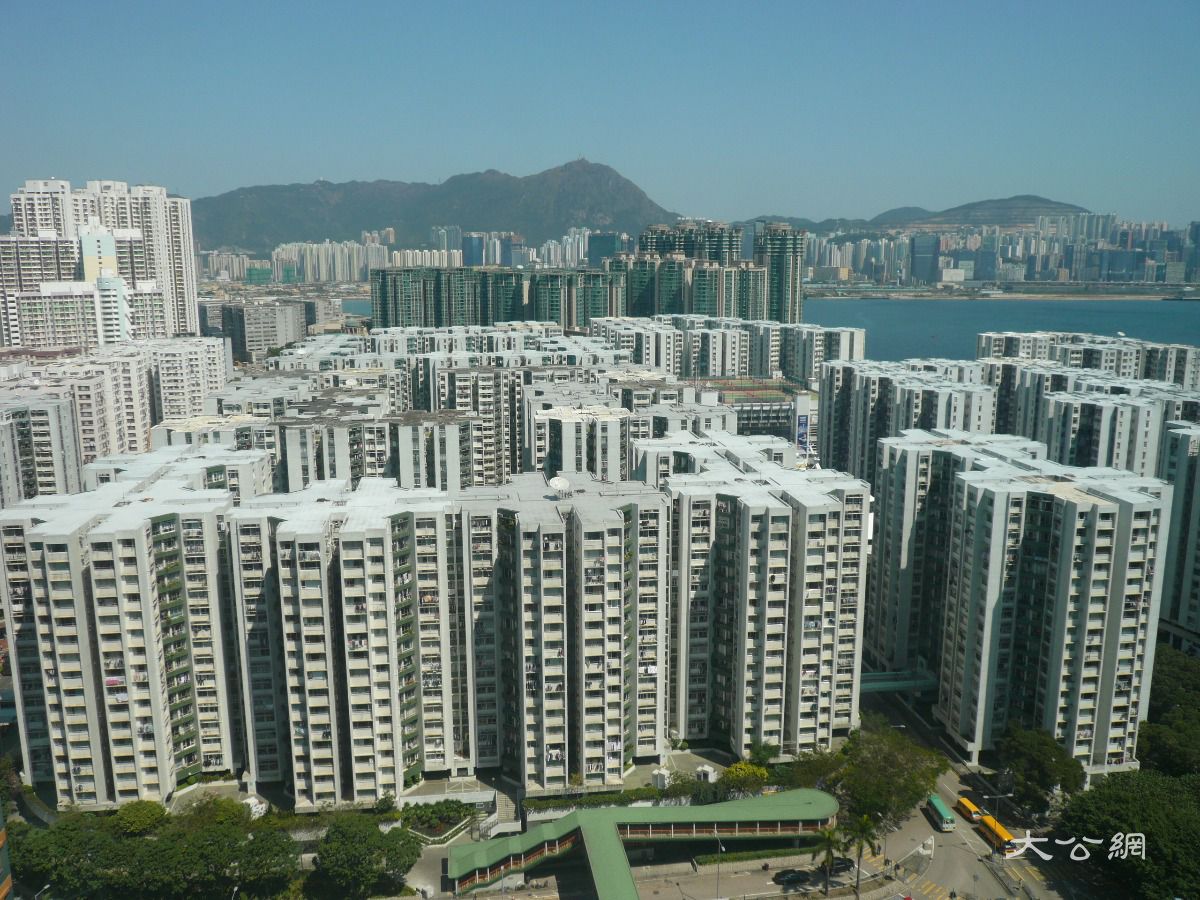 香港黄埔花园居住环境图片