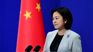外交部：“中国干涉美选举”说法纯属无中生有