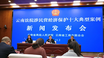 云南高院发布涉民营经济保护典型案例