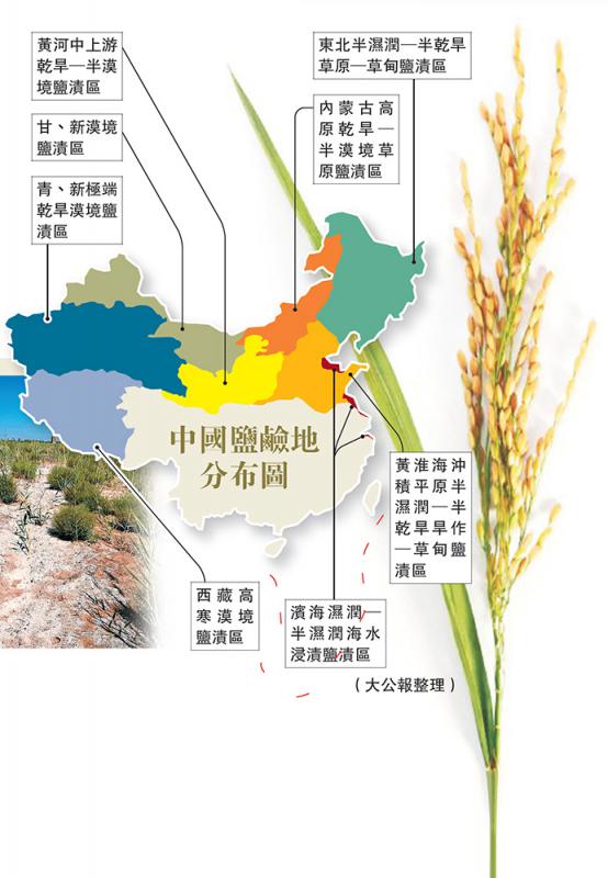 中国三大盐场分布图图片