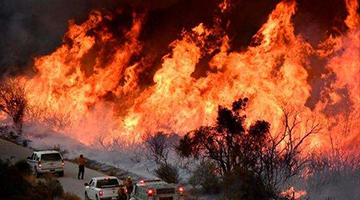 加州爆史上最大山火 英媒：世界最强大国家为何挡不住野火