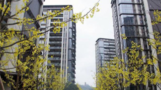 贾康：中国征收房地产税没有硬障碍