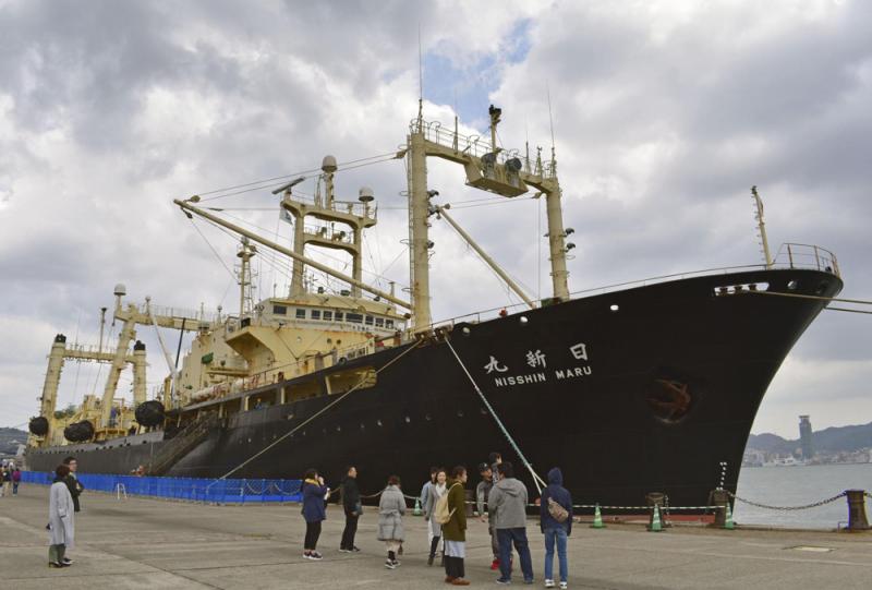 以日新丸为首的五艘南极捕鲸船3月31日返回日本\网络图片