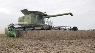 美国大豆协会敦促白宫迅速与华达成协议 称农民耐心将耗尽