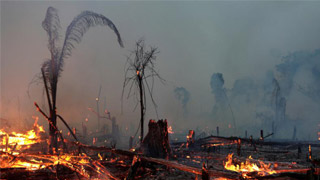 ﻿巴西总统不出席雨林大火区域峰会