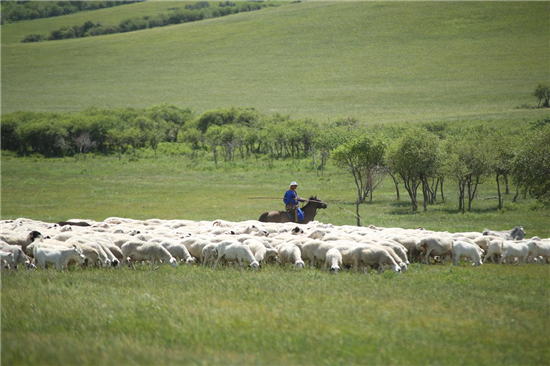 山货上头条助内蒙古贫困地区特色产品热销 上千牧民受益