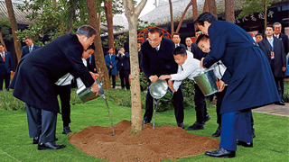 中日韩领导人共植桂花树 象征友谊永固