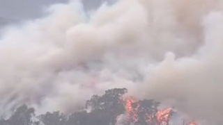 澳大利亞山林大火已燃燒數月 過火面積超1000萬公頃
