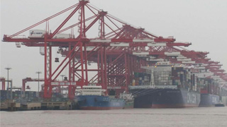 洋山深水港国际干线集装箱船舶流量恢复正常