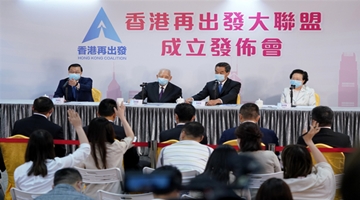 大联盟：“港区国安法”能有力止暴制乱