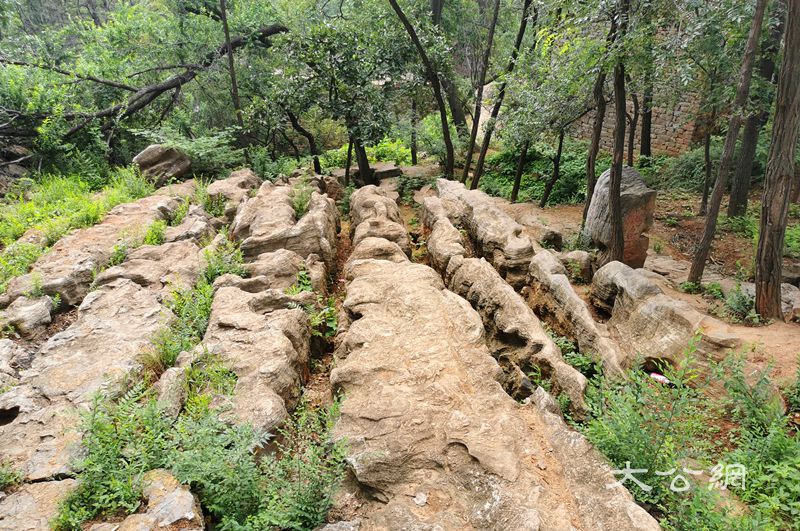 嵩縣「石頭部落」講述地質故事 豫首個地質文化村通過初審