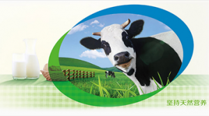 伊利驻马店项目开建 将实现奶牛存栏量10万头