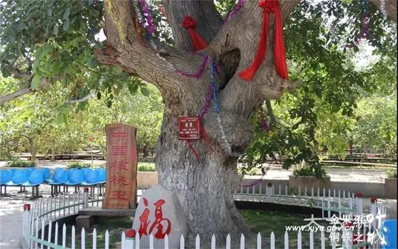 这条海拔最高的勇者之路 从新疆叶城开启