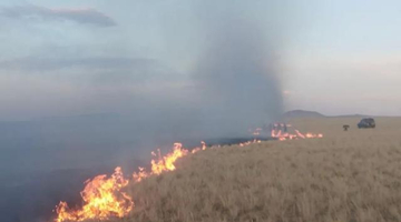 蒙古国草原大火已被扑灭 火灾原因正在调查中