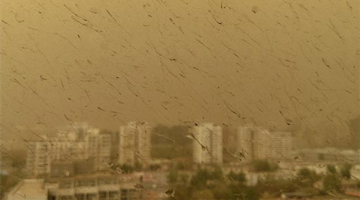 中国环境监测总站：北方地区将出现大范围沙尘天气