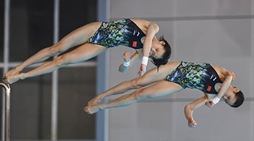 第八金！中国跳水队拿下女子10米跳台金牌