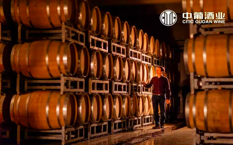 醇香昌吉酒 | 打卡绽放在天山北麓的葡萄酒酿造基地，中信国安葡萄酒业