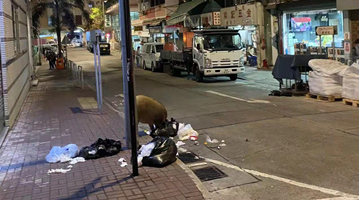 香港野猪再“出嘴伤人”！食物太香外卖员被咬伤