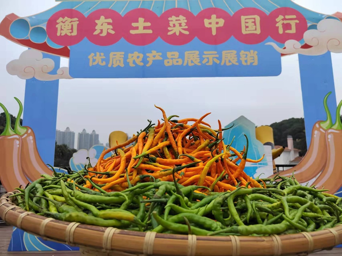衡阳市2021乡村文化旅游节暨衡东县第五届土菜文化节开幕