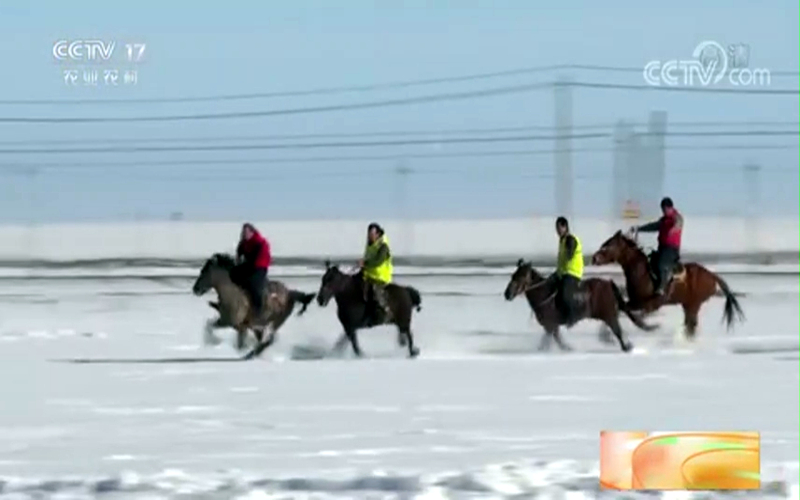 新疆昌吉：雪地变赛场、村民竞技