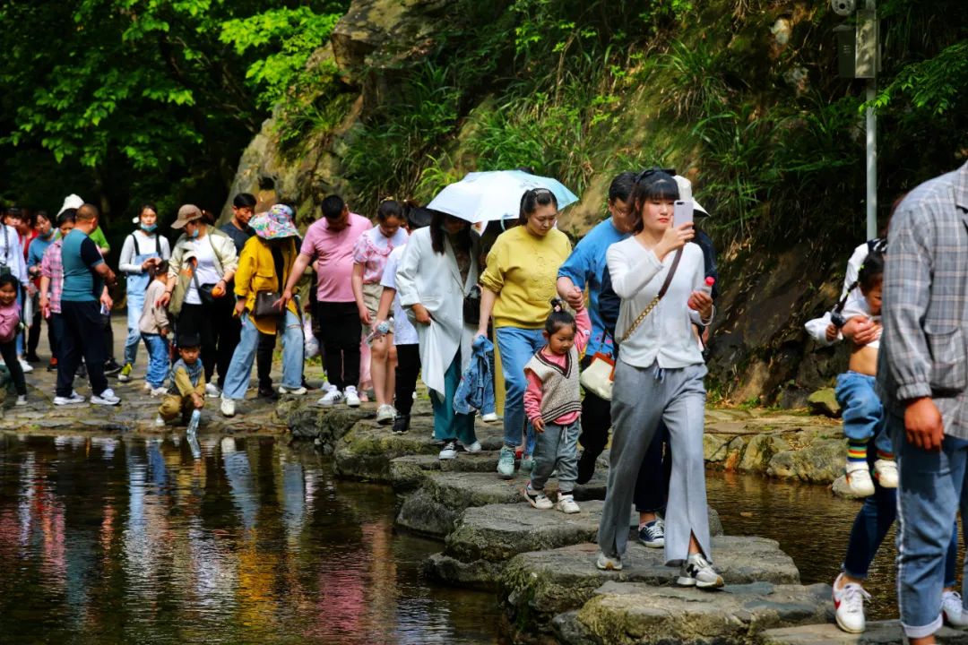 龍津溪地風景區門票價格(龍津溪地風景區門票價格表)