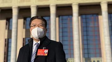 全国人大代表李应生：香港疫情牵动中央领导人的心