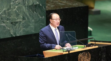 中国常驻联合国代表敦促停止对叙利亚主权和领土完整的侵犯