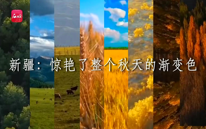 新疆：惊艳了整个秋天的渐变色