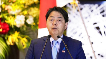 日媒：日本外相林芳正称有意在未来担任首相