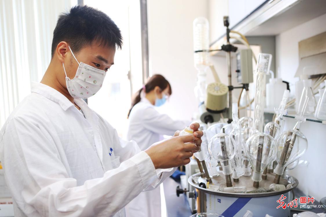 许昌学院 “泡”在实验室里的大学生