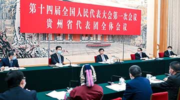 王沪宁参加贵州代表团审议强调：持之以恒推进生态文明建设