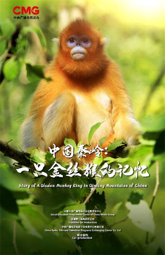 中法合拍《中国秦岭：一只金丝猴的记忆》在央视总台播出