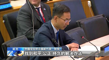 联合国开会 中国代表：坚定支持阿根廷对马岛主权要求