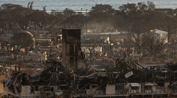 美国夏威夷山火已致93人死亡 政府救灾应对不力引民众愤怒
