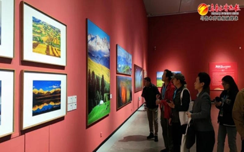双节假期，新疆美术馆迎客超5万人次