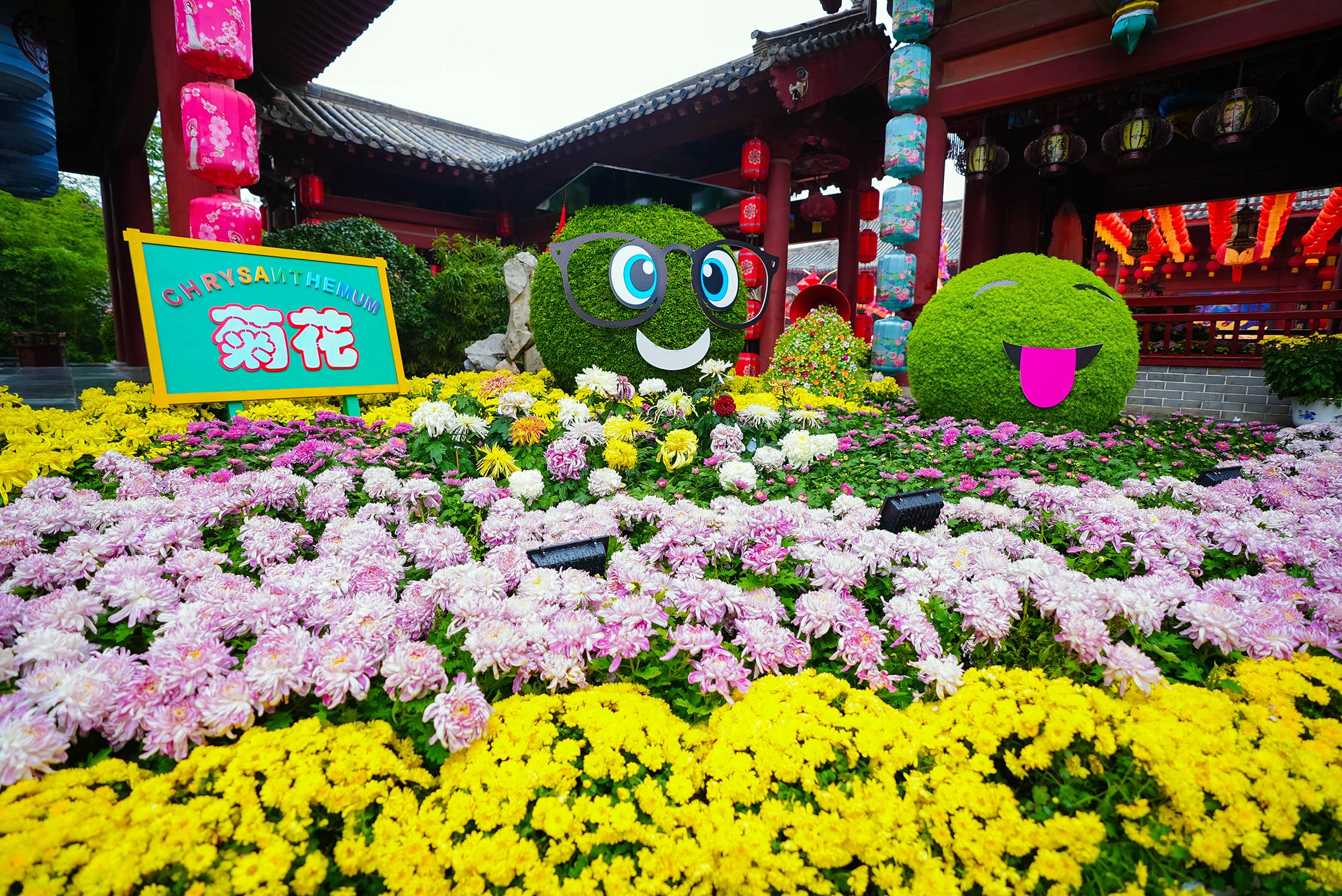 第41屆菊花文化節金秋舉辦 再來開封「夢華錄」