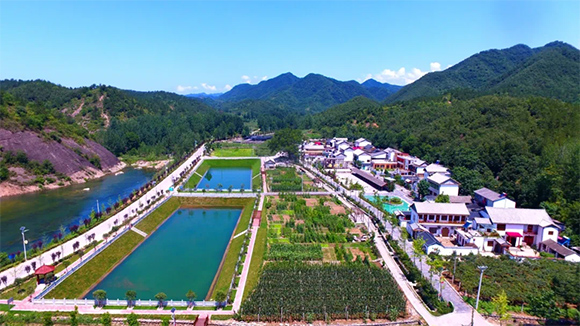 西峽成全國有機獼猴桃主產區  「中國人的陽光金果」正創新產業傳奇