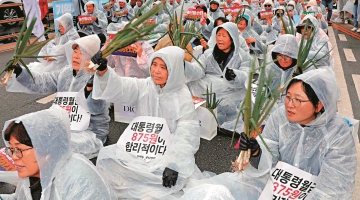﻿韩国国会选举 大葱成为违禁品