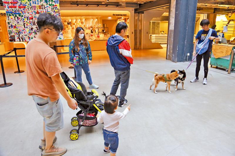 ﻿宠物店幼犬与1.2万元狗粮捆绑销售