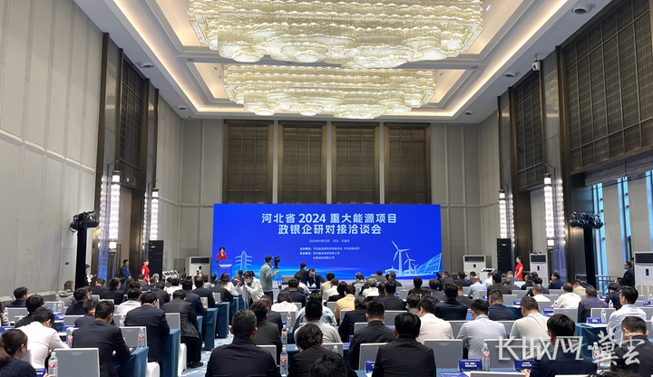 河北省2024重大能源项目政银企研对接洽谈会召开