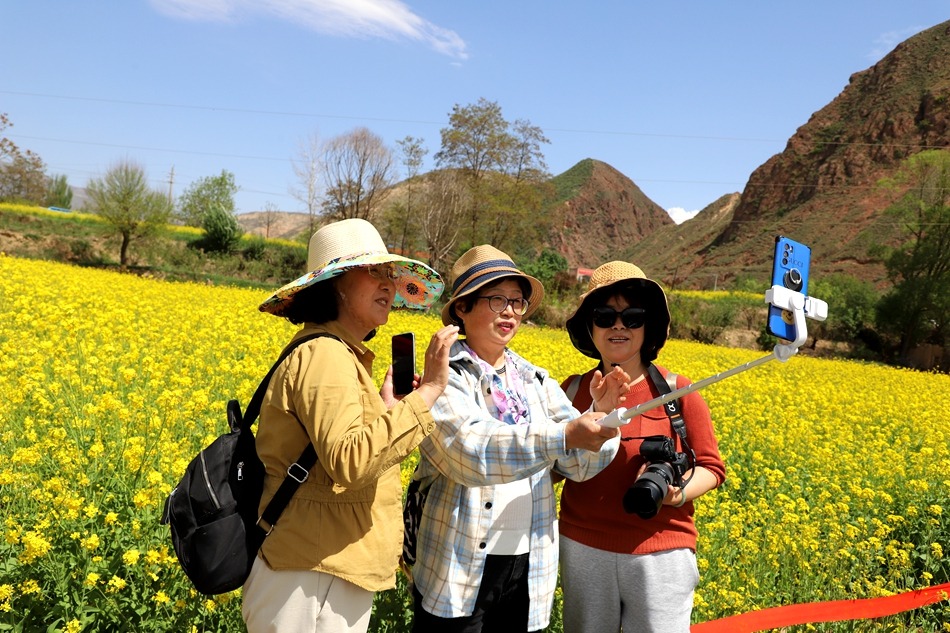 甘肃武山县第八届油菜花海旅游观光活动拉开帷幕