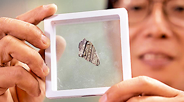 ﻿广州首次发现暴龙超科化石