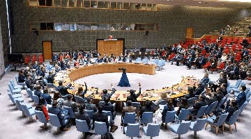 安理会通过涉加沙决议 中方呼吁立即实现无条件和持久停火