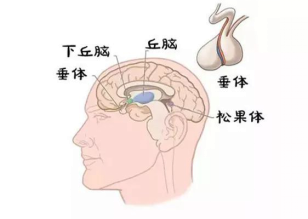 給孩子濫打生長激素，當心“追高”變坑害