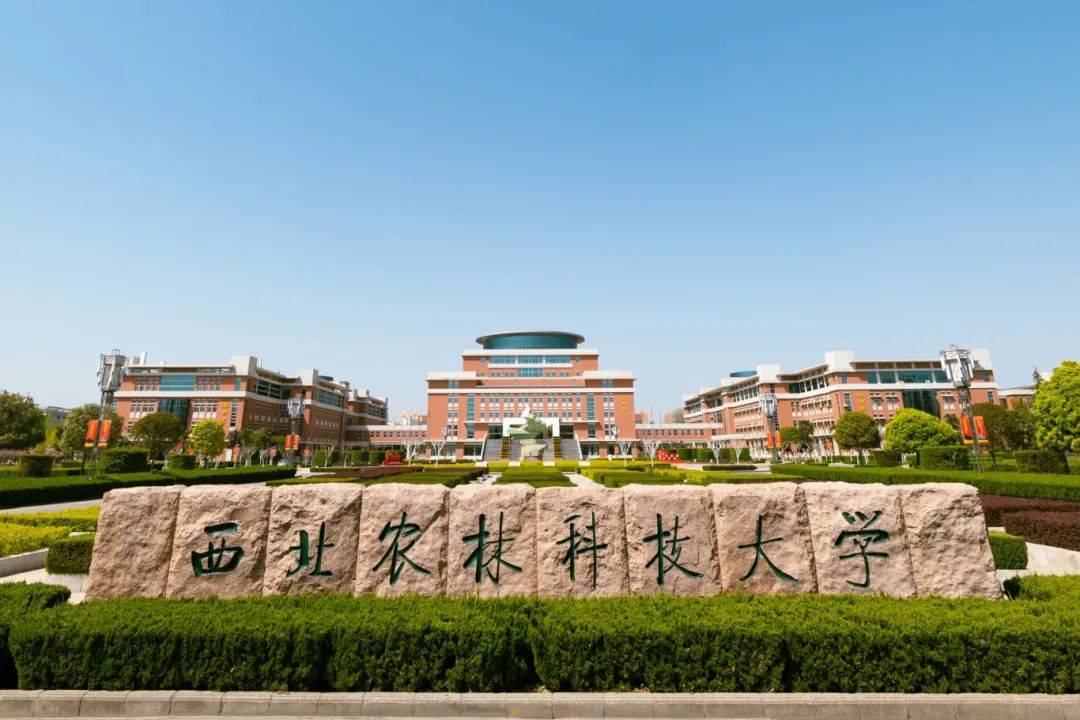 西北农林科技大学“学霸党支部”炼成记