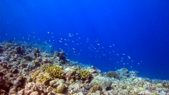 《黄岩岛海域生态环境状况调查评估报告》发布