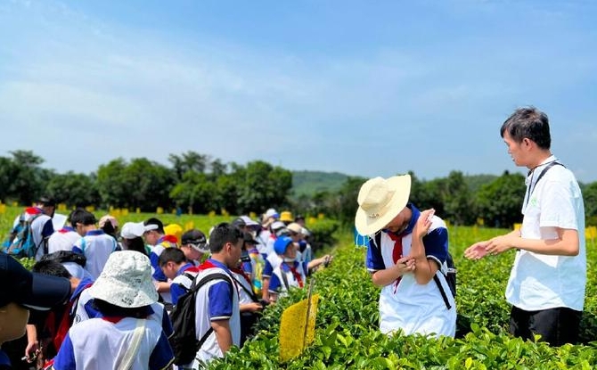 研学游应以探究学习为本